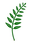 Scenic Textures Company Logo
